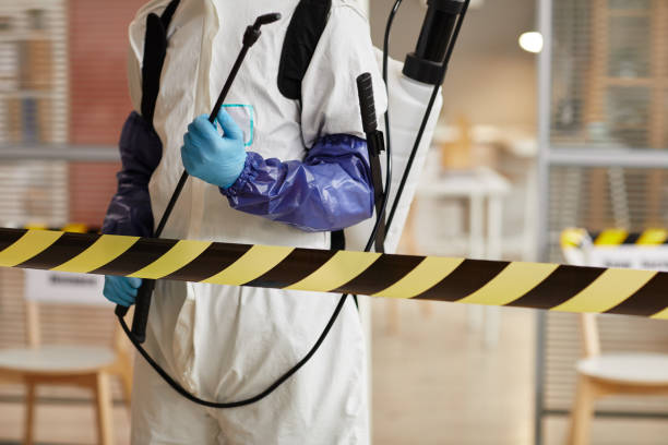 Professional Hoarding Cleanup technician working in Lakeville, MA